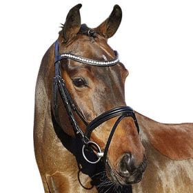 Euroriding Bridle La Rochelle English Comb. Noseband