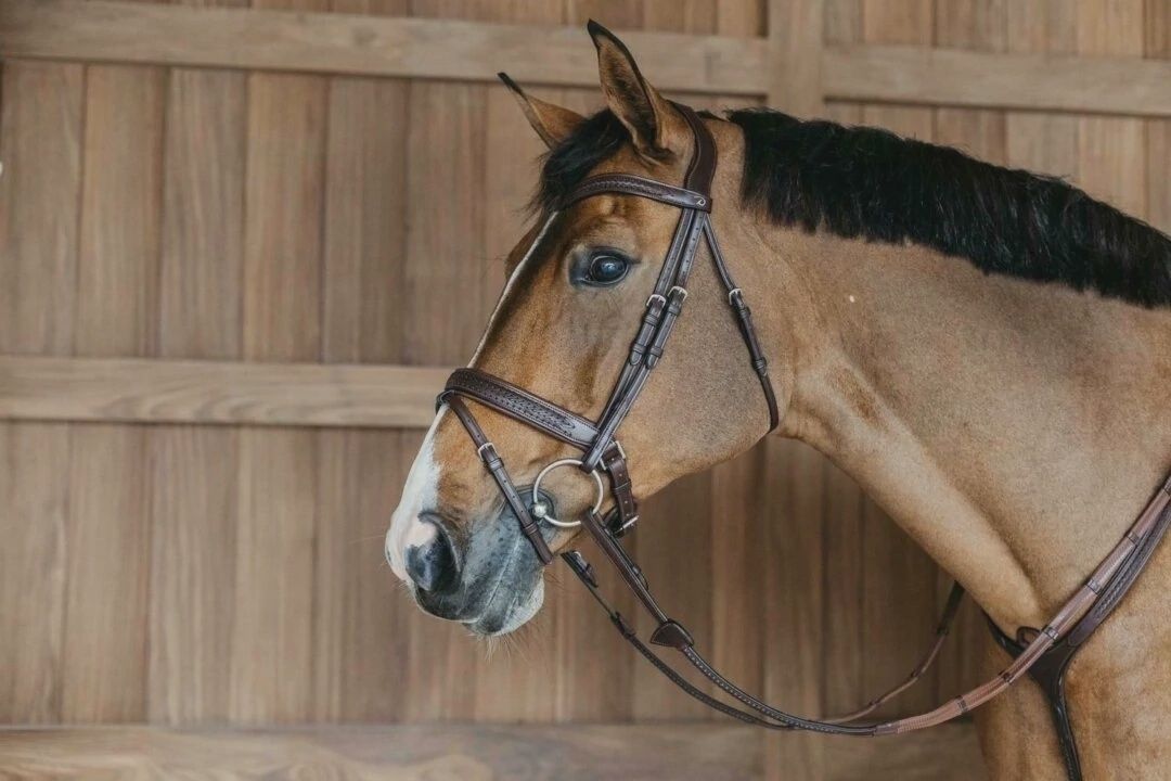 Dy&#39;on Plaited Flash Noseband Bridle with Pull back, Size: Full, Color: Brown