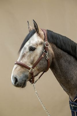Dy&#39;on Soft Leather Halter