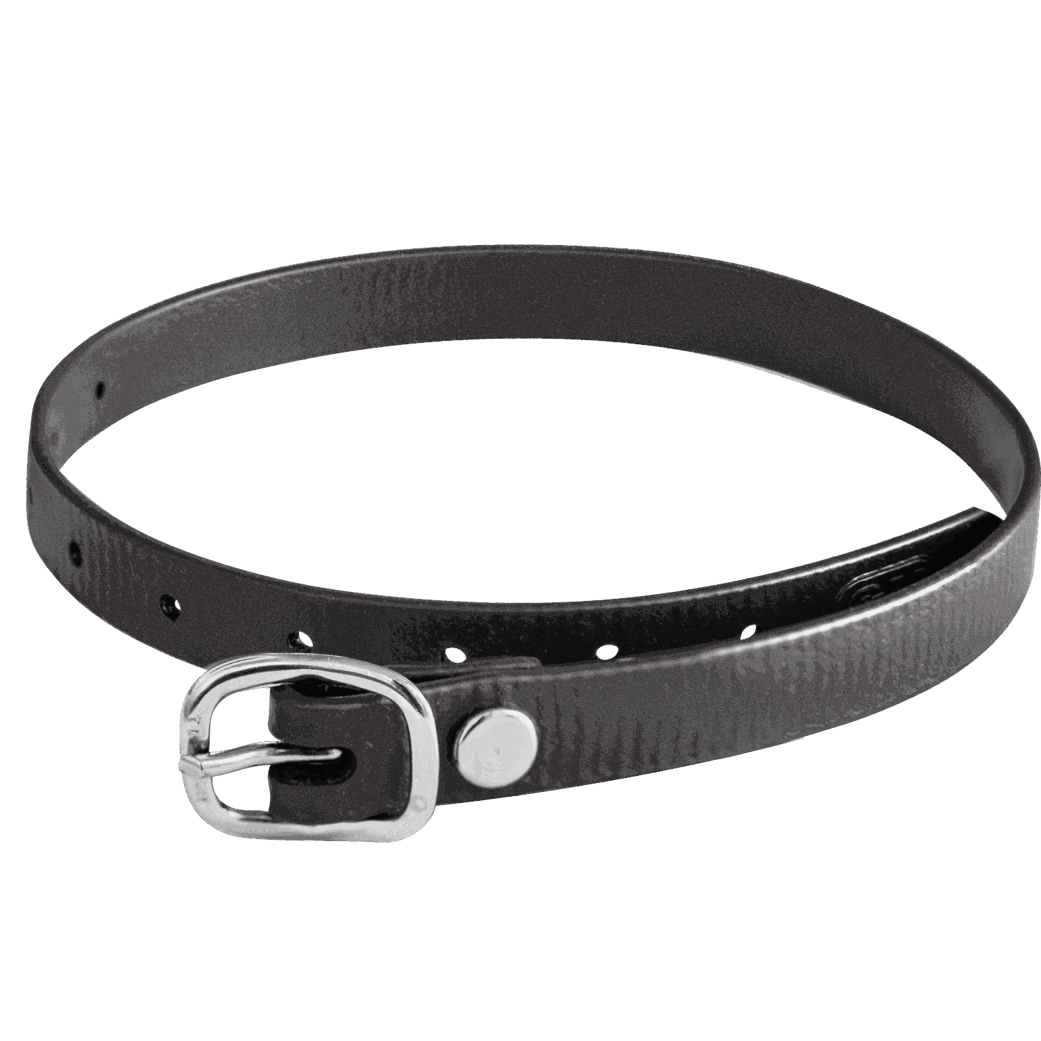 Sprenger Spur Straps 45cm Biothane, Color: Black