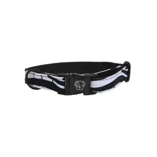 Kentucky Dog Collar Zebra