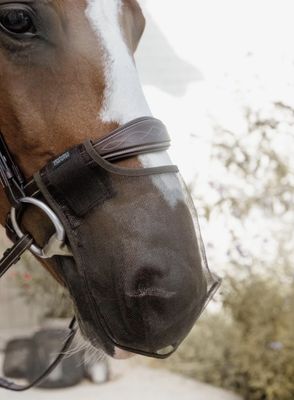 Kentucky Anti-fly nose net