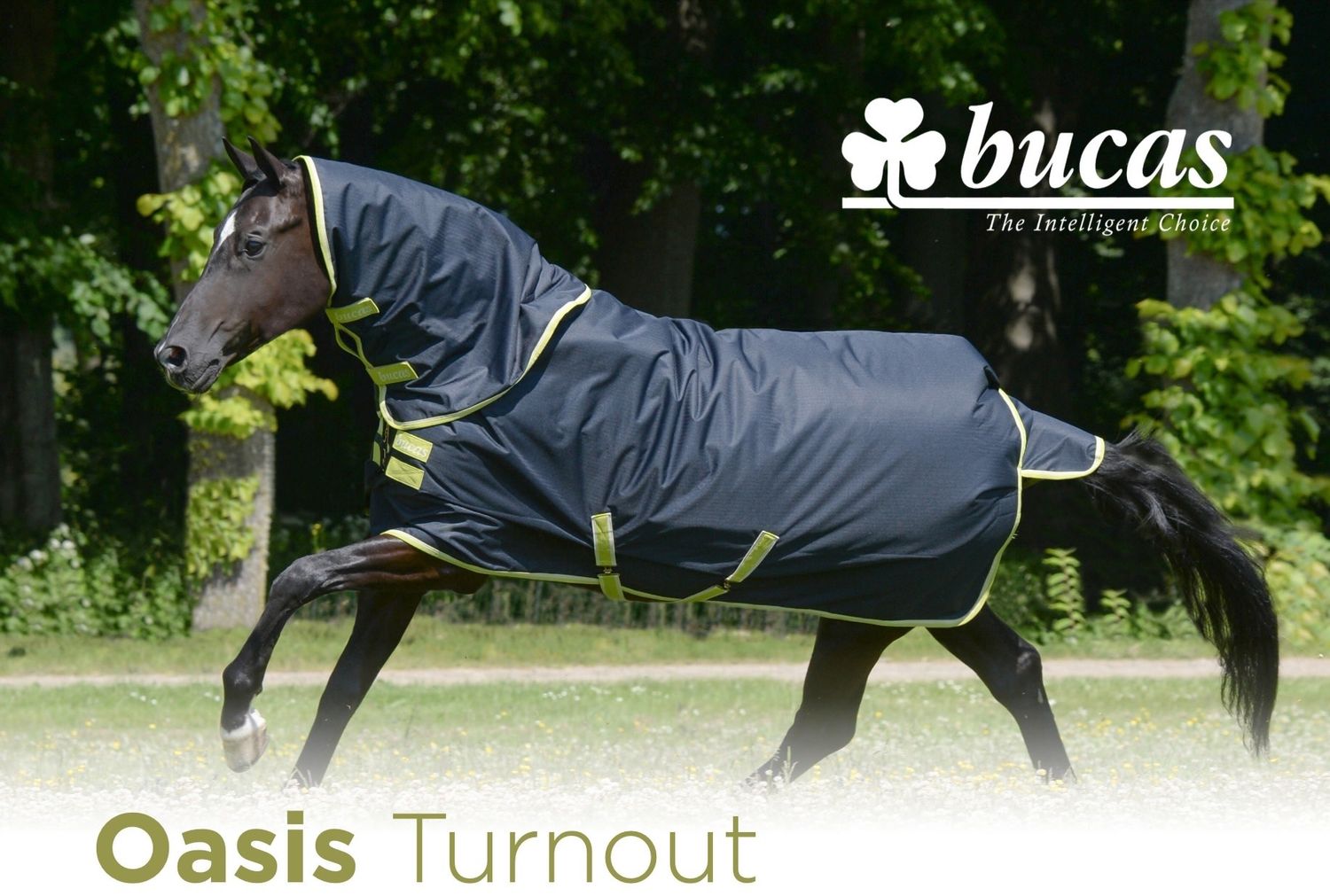 Bucas Oasis Outdoor Blanket 200 + Neck Set, Color: Dark grey/Lime, Size: 155/205/6.9