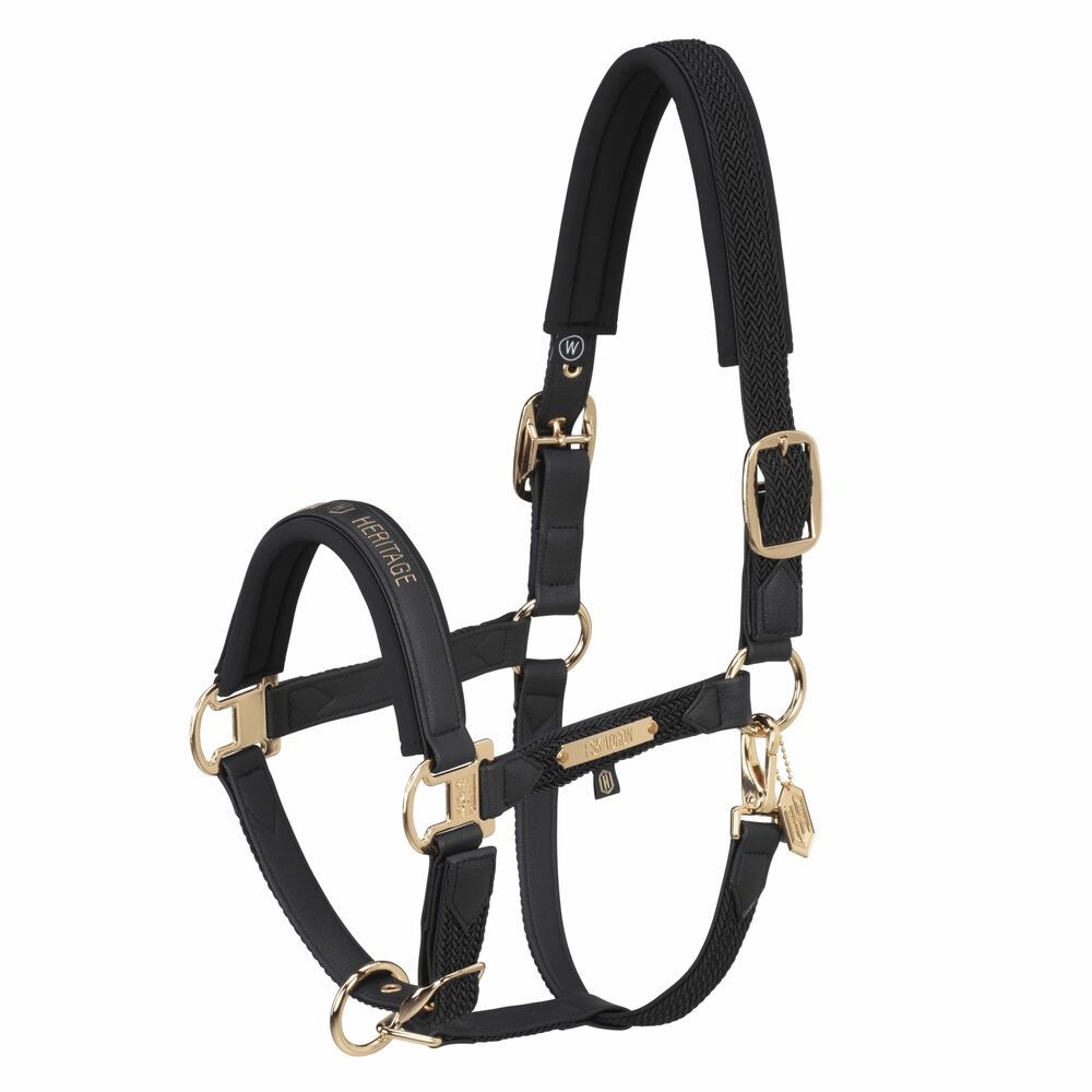 Eskadron Licol Simili Cuir Tresse Double Pin Heritage 24/25