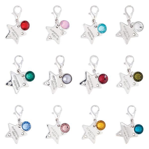 Imperial Riding Birthstone Charm