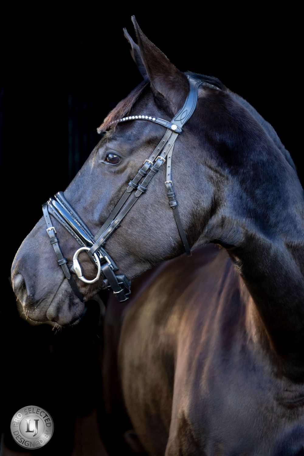 LJ Leathers Pro Selected Bridle Sunline Black, Color: Black, Size: Pony