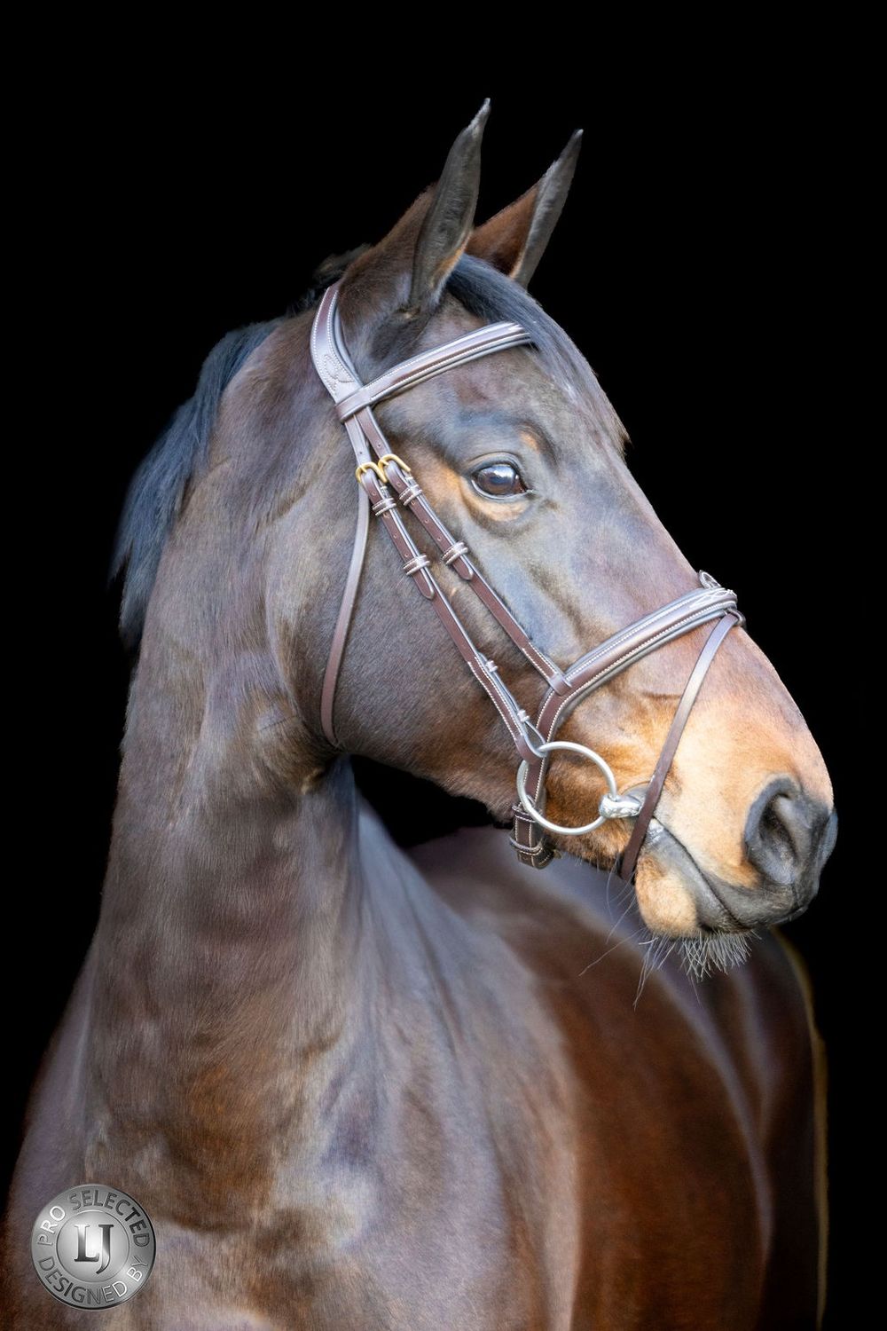 LJ Leathers Pro Selected Bridle Heritage, Color: Australian Nut, Size: Cob