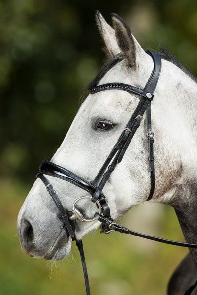 HFI Luxury Bridle, Color: Black, Size: Cob