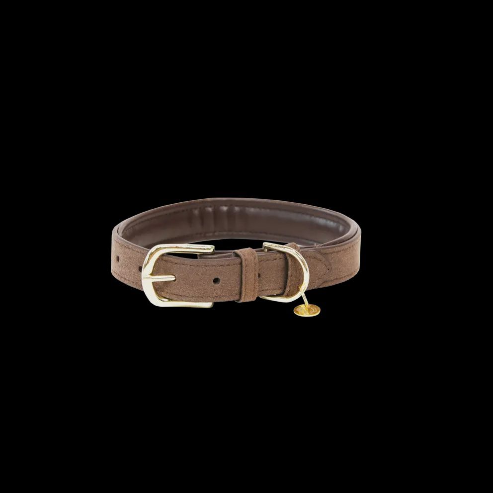 Kentucky Dog Collar Velvet Leather, Color: Brown, Size: XL