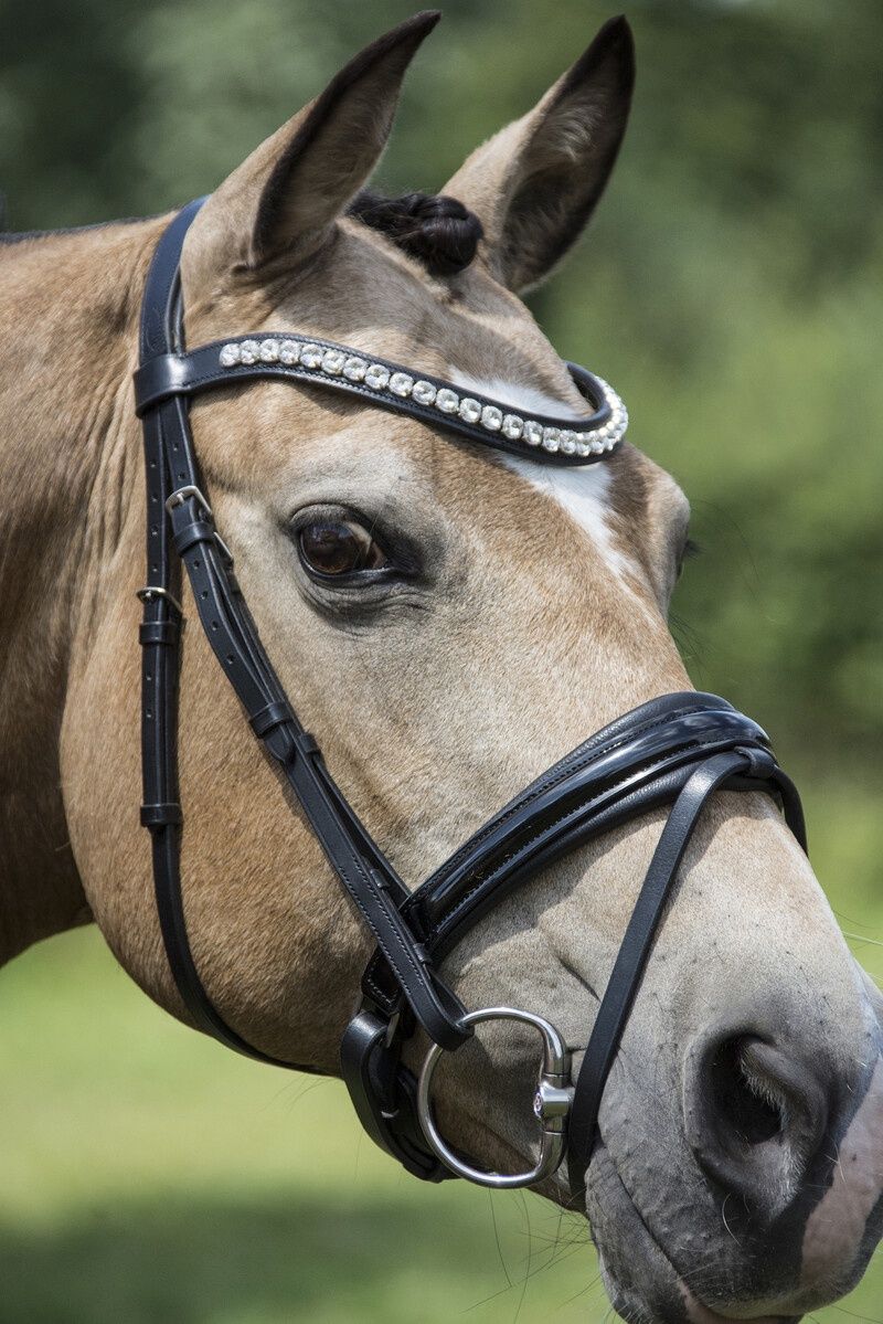 LJ Leathers Bridle Argento Lacquer Crank noseband, Color: Zwart, Size: Cob