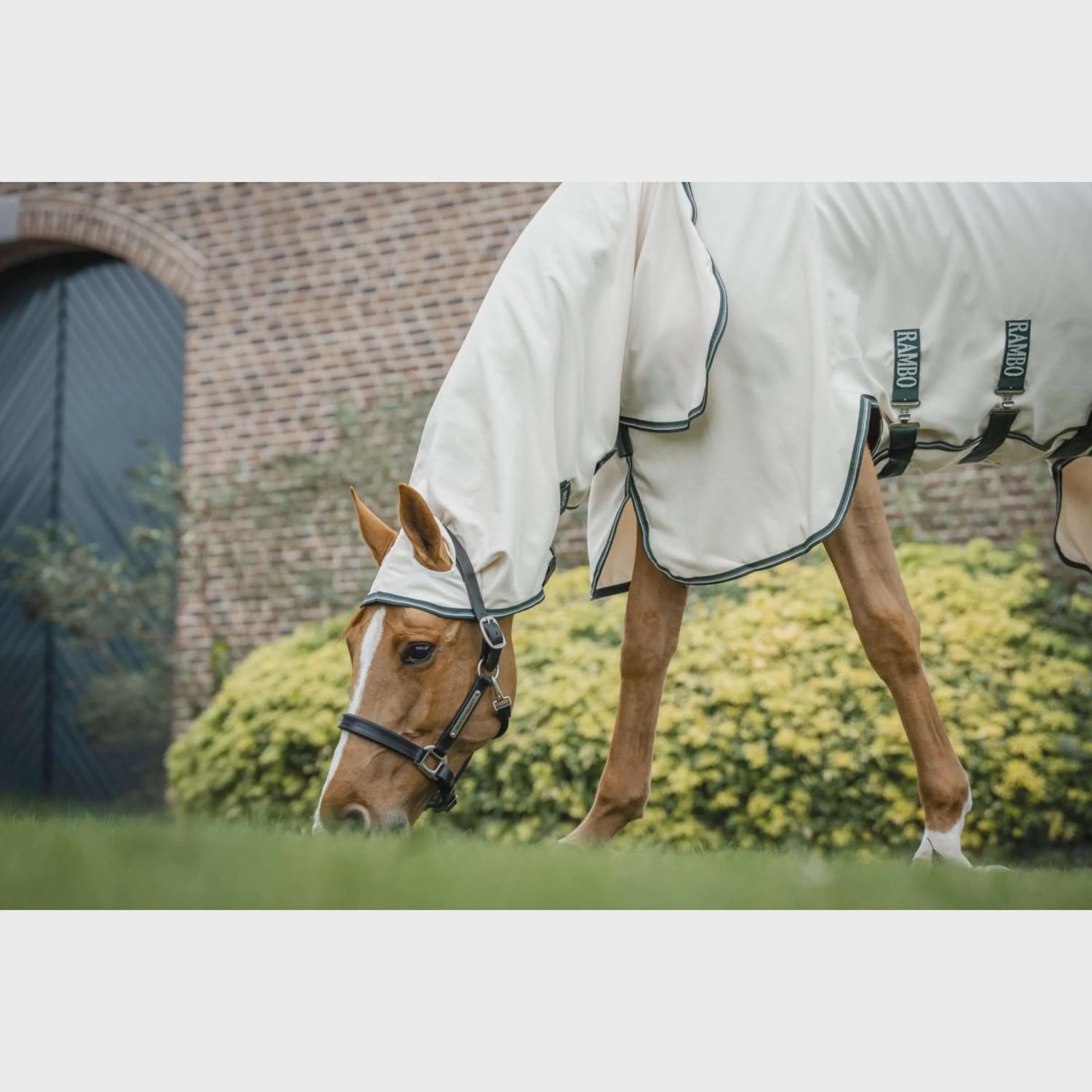 Horseware Rambo Pony Hoody Chalk, Color: Chalk/Hunter Green &amp; Silver, Size: 95/145/4.9
