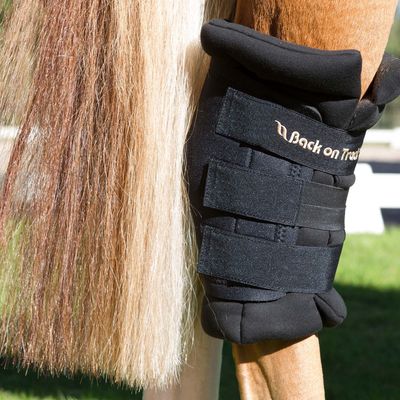 Back On Track Royal Heel Protector