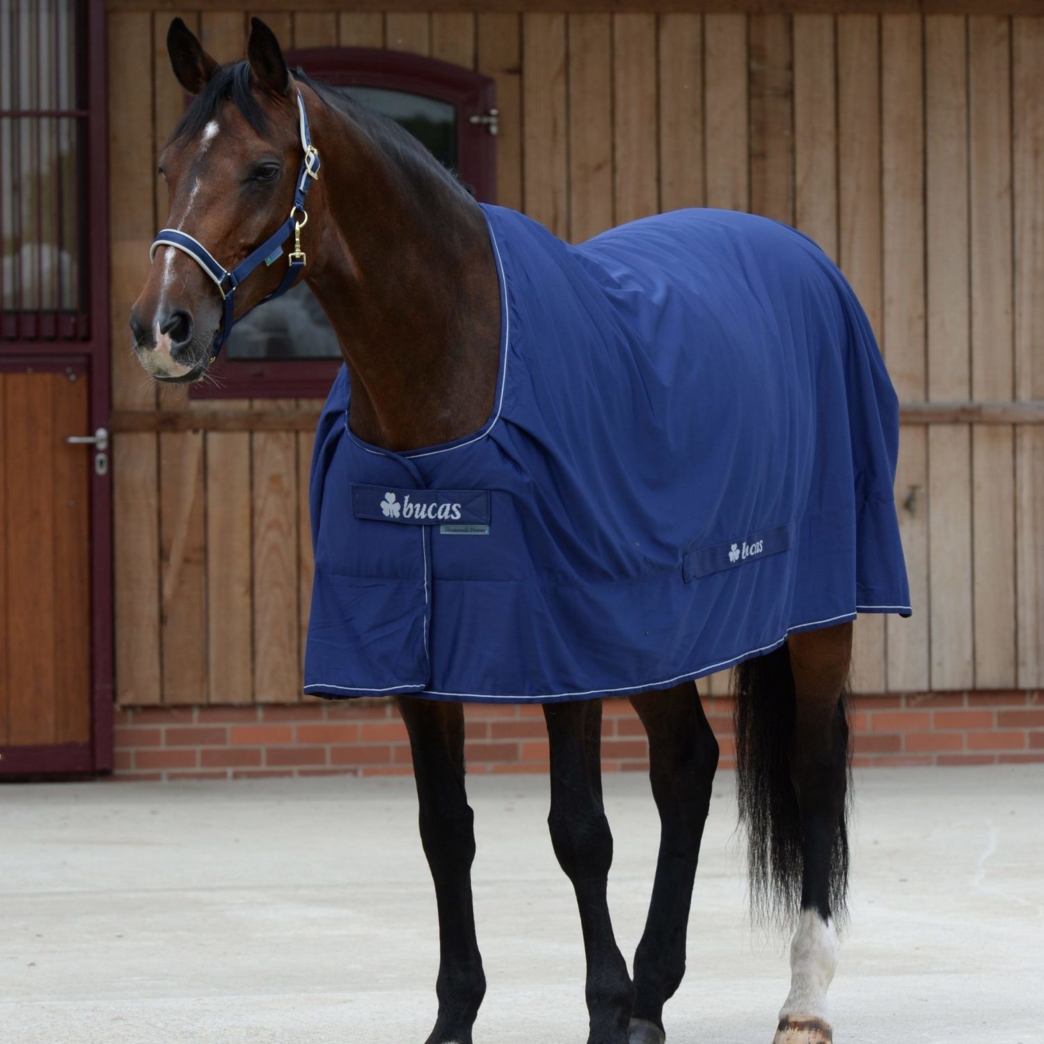Bucas Power Cooler Sweat and transport blanket, Color: Navy/Silver, Size: 85/130/4.3