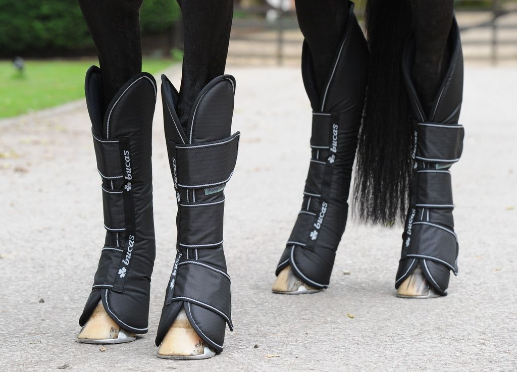 Bucas Freedom Boots Transport Protectors, Color: Zwart, Size: Pony