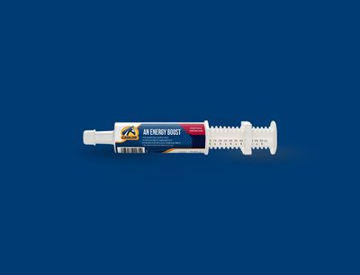 Cavalor Une Pâte Booster d&#39;Énergie 1 x 60 g