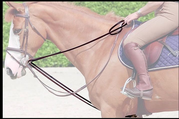 Dy&#39;on Full Leather Draw Reins 1/2 - D Collection, Color: Black, Size: Full