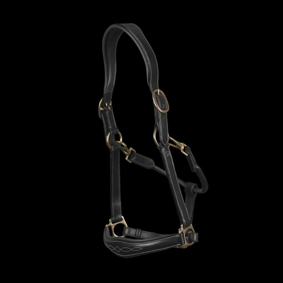 Dy&#39;on Leather Head Collar D-Collection, Color: Black, Size: Full