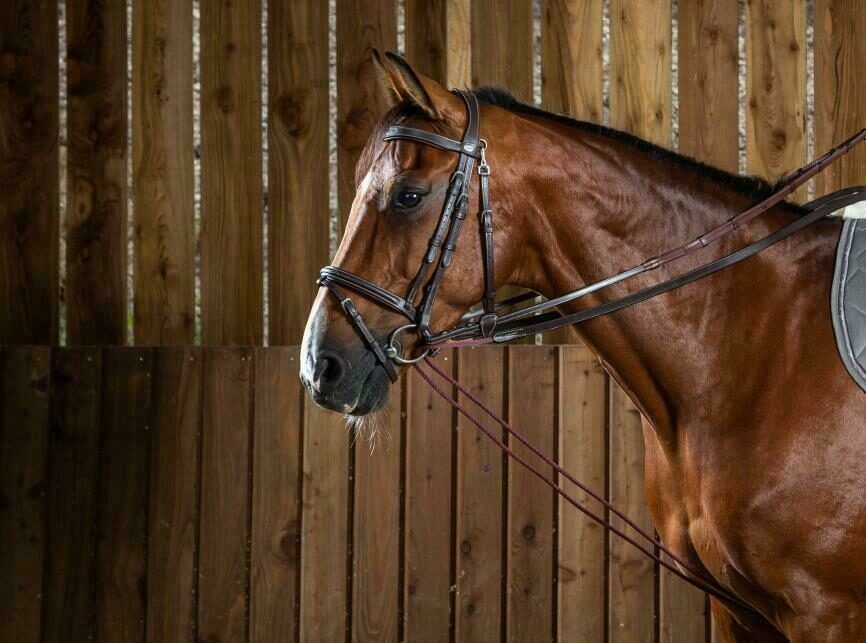 Dy&#39;on Leather/Nylon Slipper Reins 5/8 (13mm) - Working