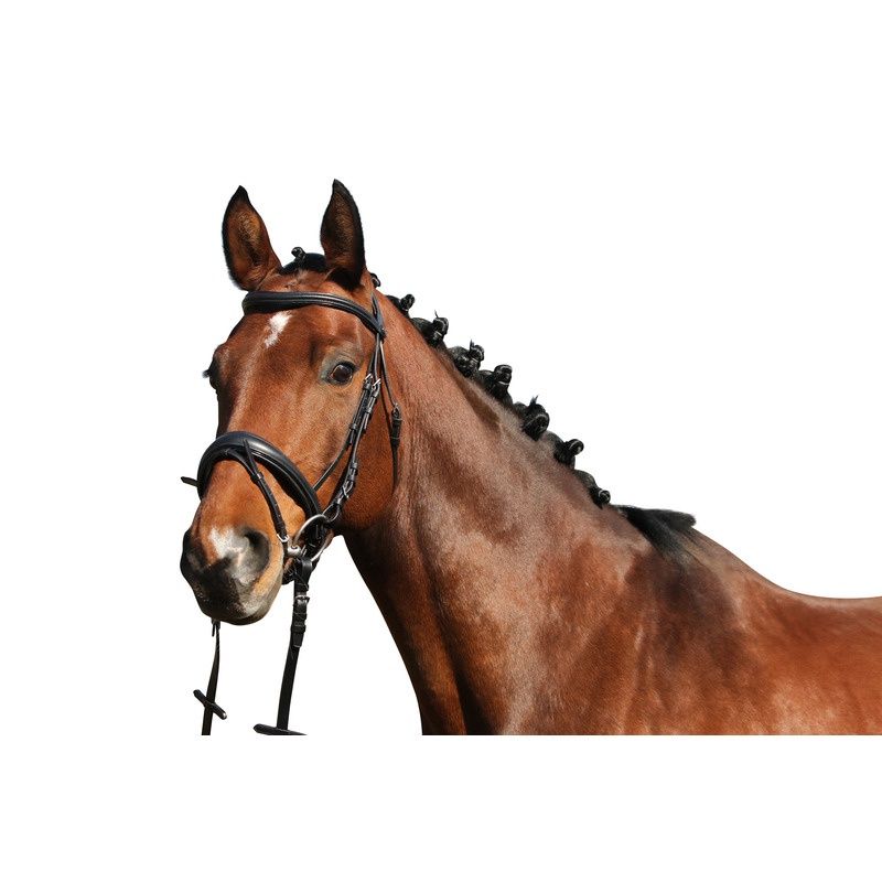 Euroriding Bridle Nantes; Patent Piping; Swedish noseband, Color: Black, Size: Cob