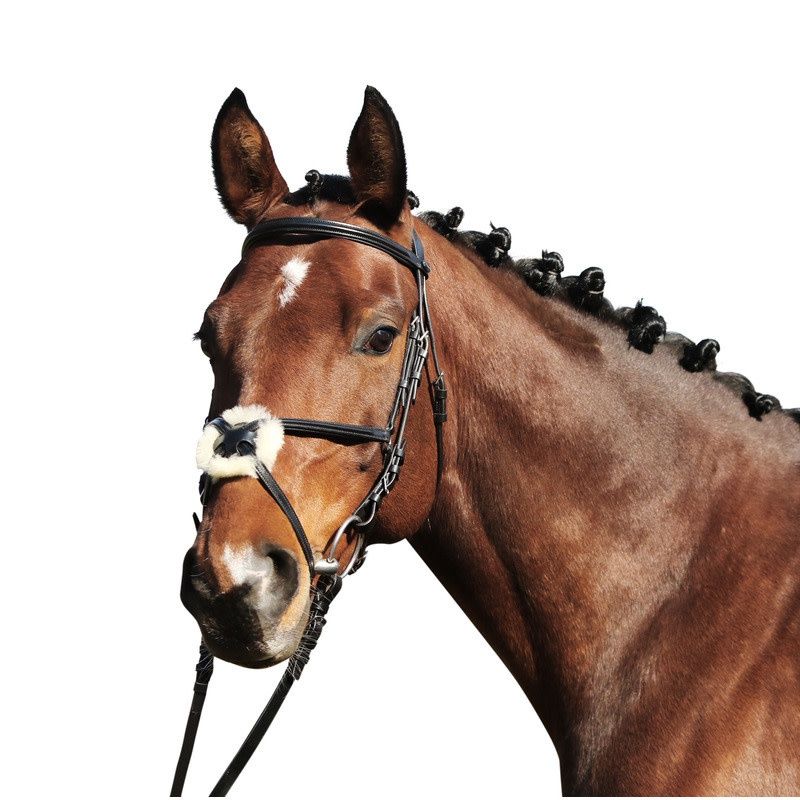 Euroriding Bridle Paris Padded Head PC Mexican Noseband, Color: Brown, Size: Full