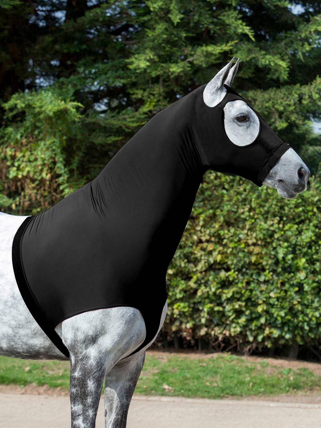 LeMieux Lycra Neck Piece, Color: Black, Size: XL