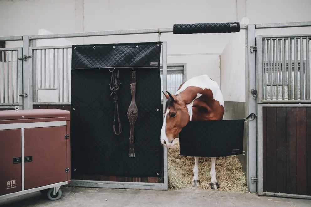 Kentucky Stable Guard, Color: Black