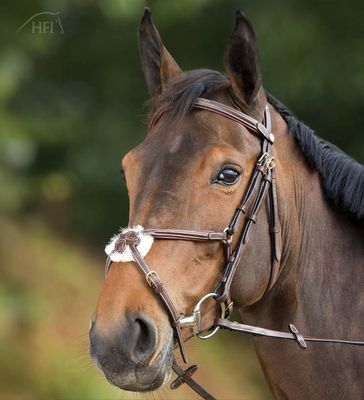 HFI Bridle Mexican