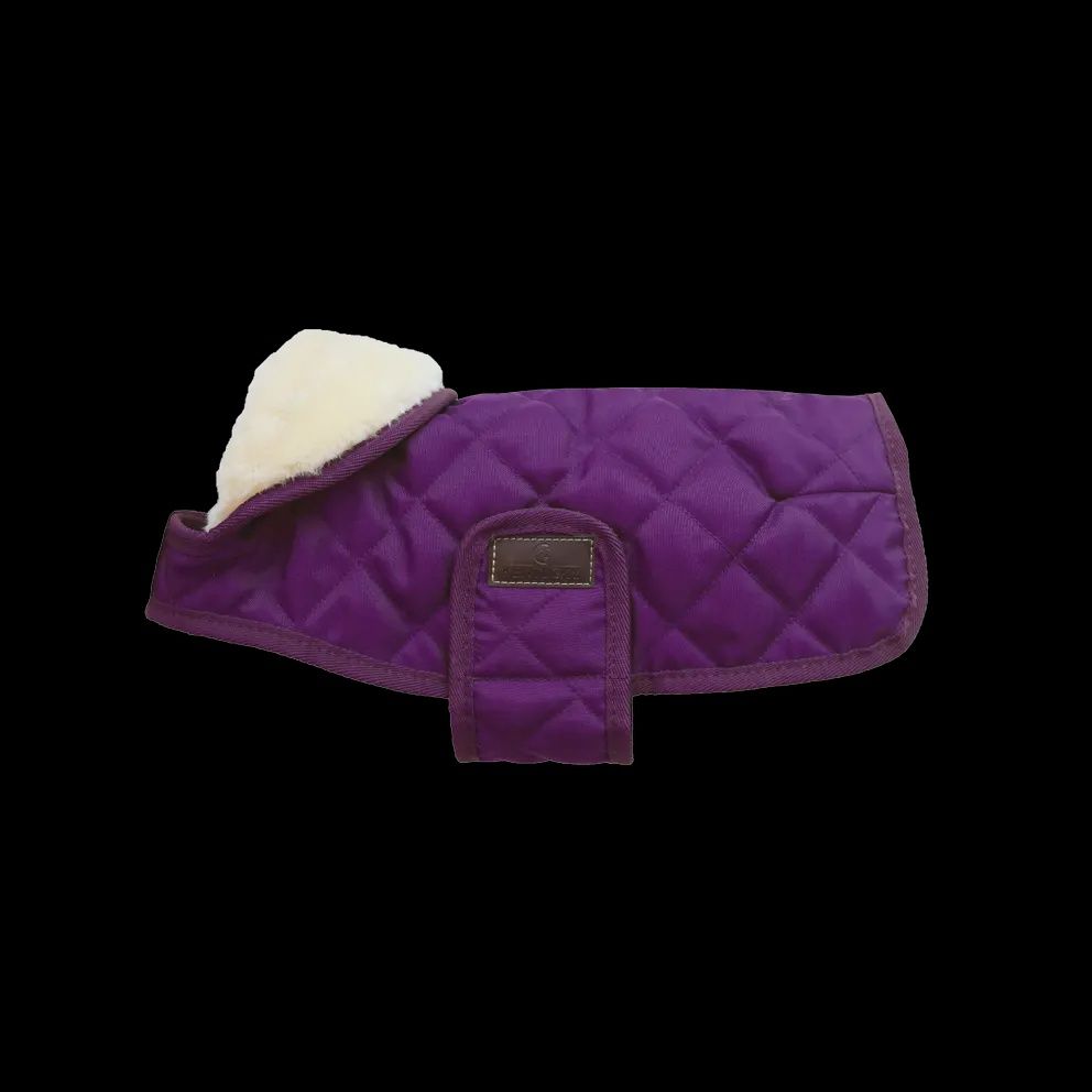 Кентуккийский дождевик для собак фиолетового цвета, Size: XXS, Color: Purple