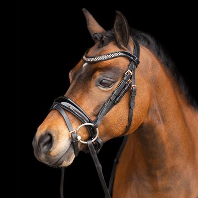 Bride d&#39;équitation impériale IRHPetit