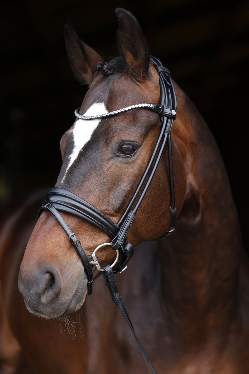 LJ Leathers Bridle Limited Stellux browband; sewn round, Color: Zwart, Size: Cob