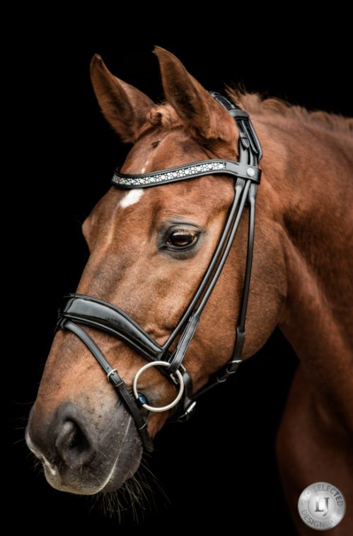 LJ Leathers Bridle Sarra Round Sewn, Color: Black, Size: Full