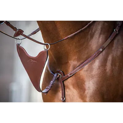Dy&#39;on BIB Martingale ATT