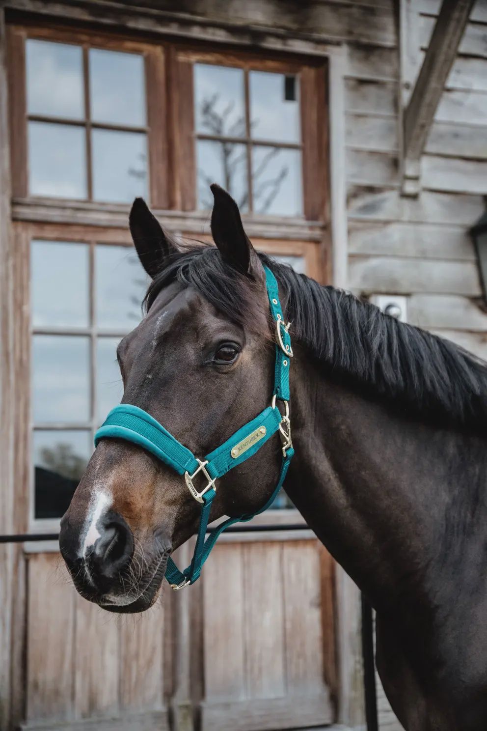Kentucky Velvet Halter, Color: Emerald, Size: Pony
