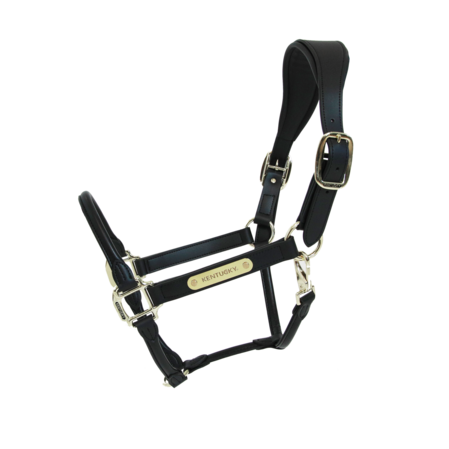 Kentucky Anatomical Leather Halter