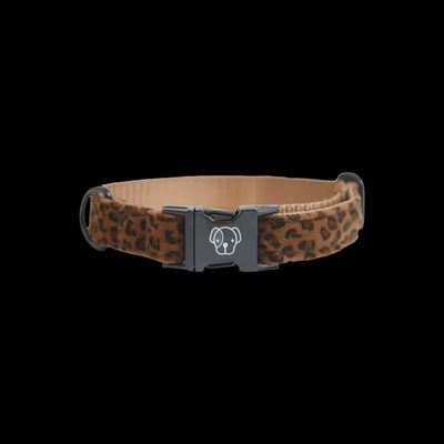 Kentucky Dog Collar Leopard