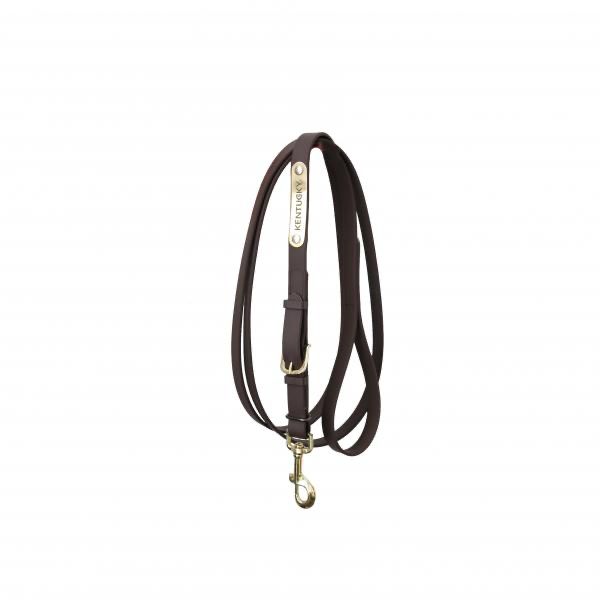 Kentucky Stallion Presentation Line 4 m Bay