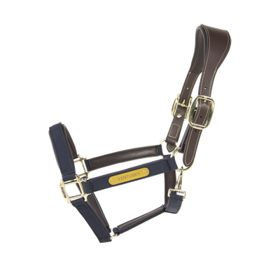 Kentucky Nylon Anatomic Halter