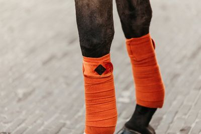 Kentucky Polar Fleece Bandages Velvet