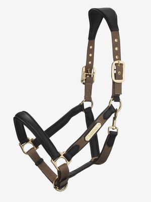 LeMieux Capella Halfter Leder