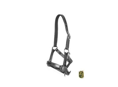 LJ Lederhalfter MINI Verstellbar