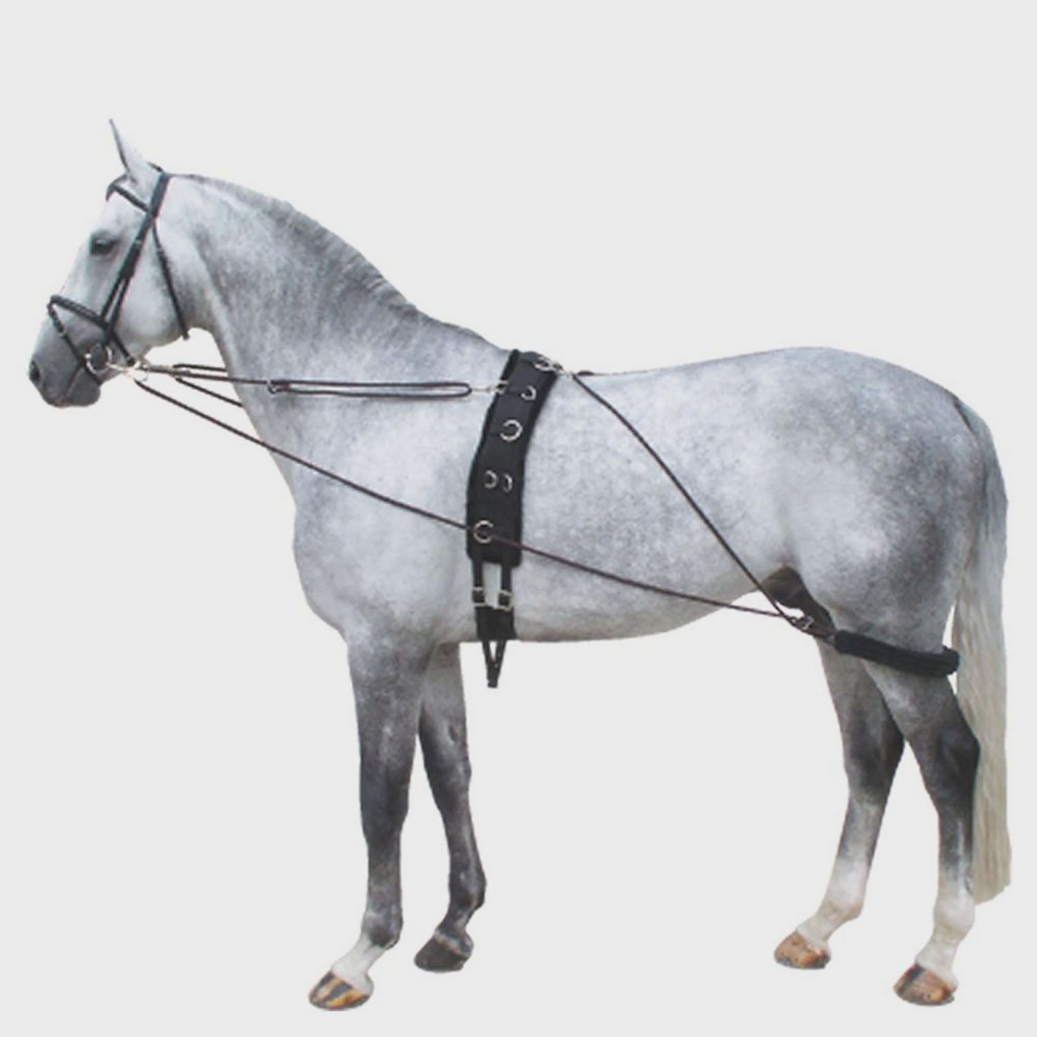 Premiere Pessoa Lunging Aid Rein Black/Bordeaux One Size