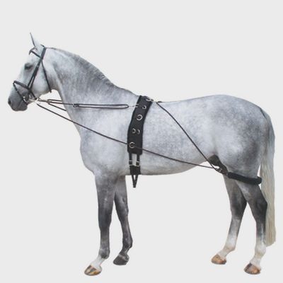 Premiere Pessoa Lunging Aid Rein Black/Bordeaux One Size