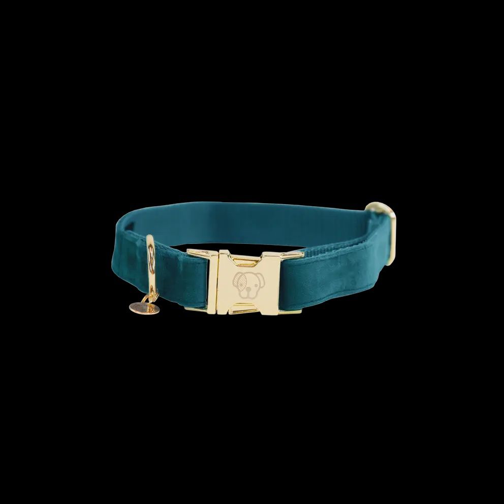 Kentucky Collier pour chien Velvet, Color: Emerald, Size: XL