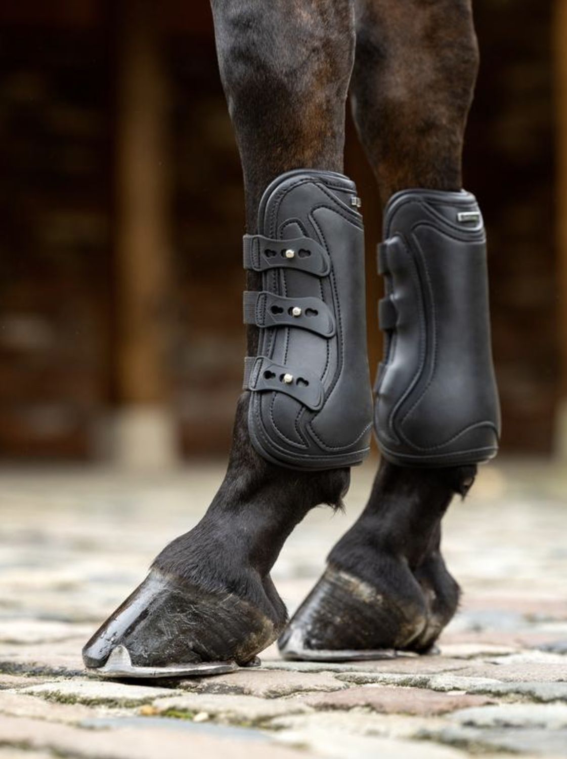 LeMieux Capella Leather Boots, Color: Black, Size: L