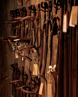 Bridles and Accessories