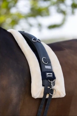 Lunging Equipment