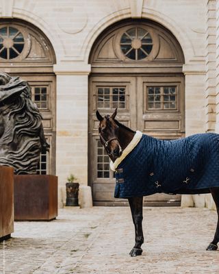 Horse blankets