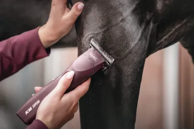 Horse Clippers