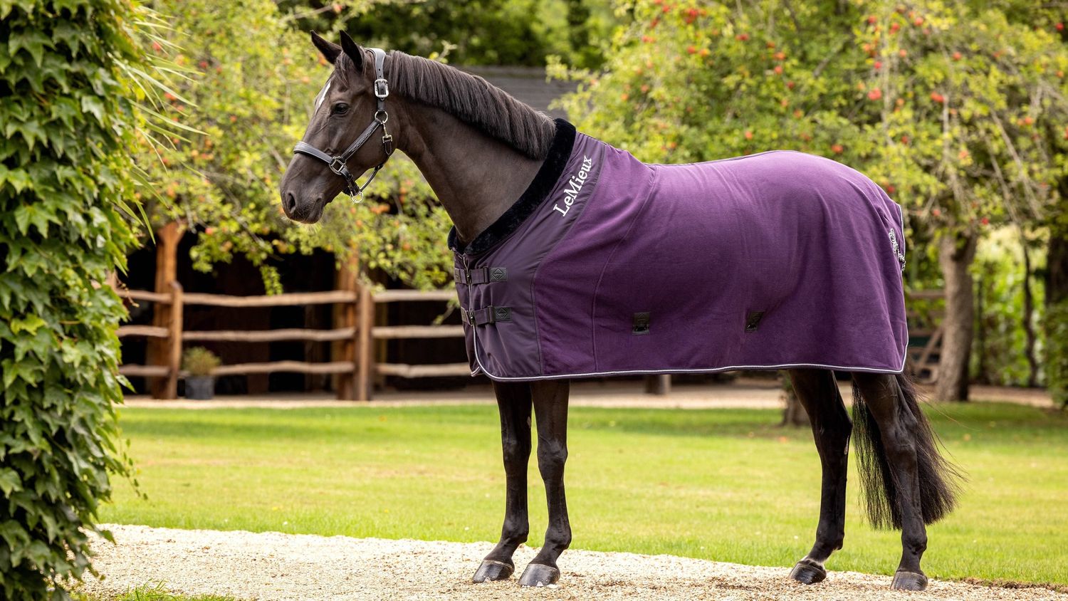 LeMieux Luxury Fleece Horse Rug Fig 155/205/6.9, Size: 155/205/6.9