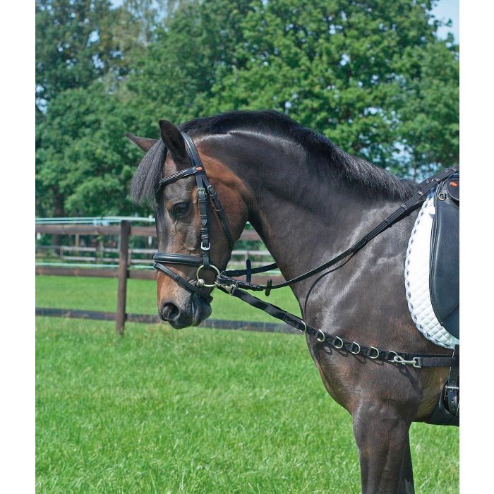 Busse bijzetteugel Oesen, Size: Pony/Cob